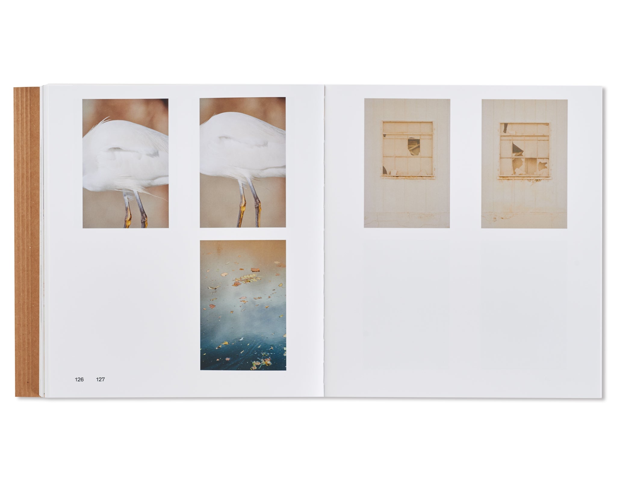 43–35 10TH STREET by Daniel Shea [SIGNED]