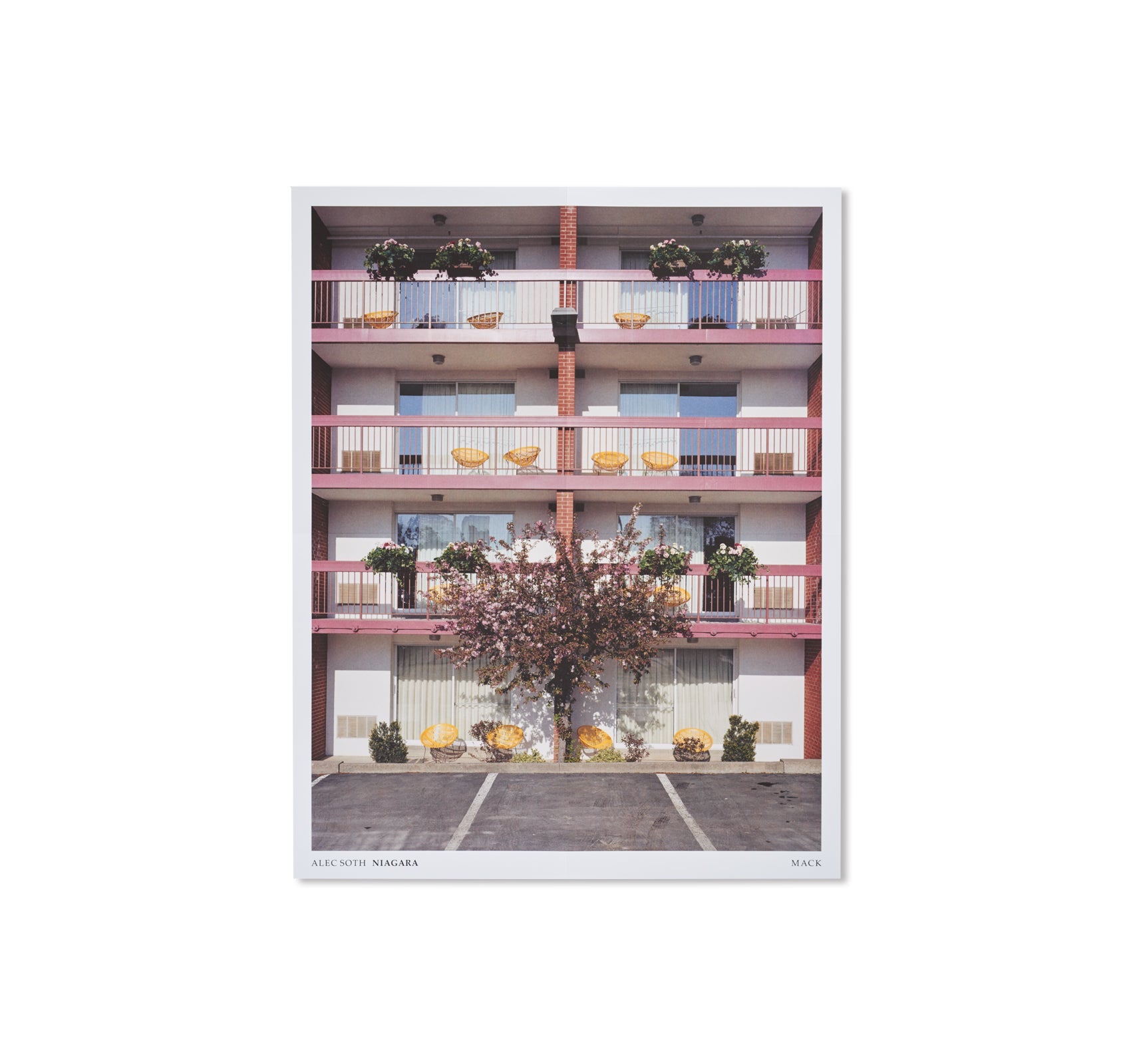 NIAGARA by Alec Soth [SPECIAL EDITION]