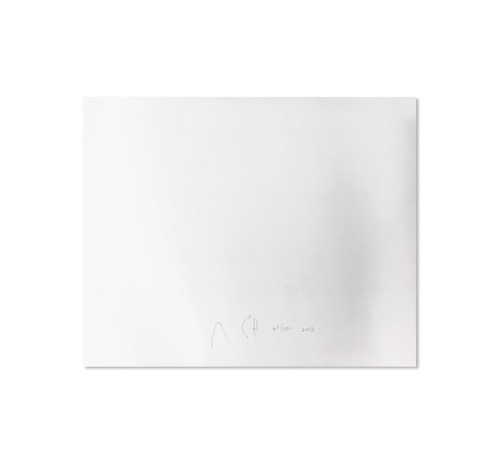 NIAGARA by Alec Soth [SPECIAL EDITION]